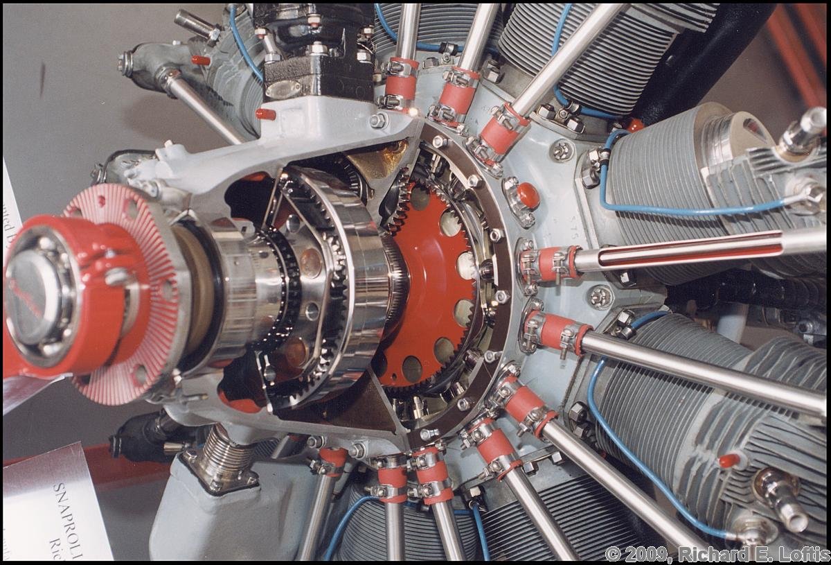 vedeneyevm14radial4.jpg